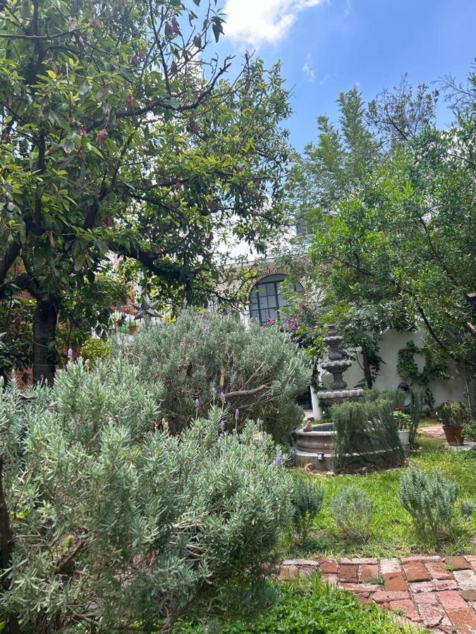 Casa Matia Bed And Breakfast San Miguel de Allende Kültér fotó